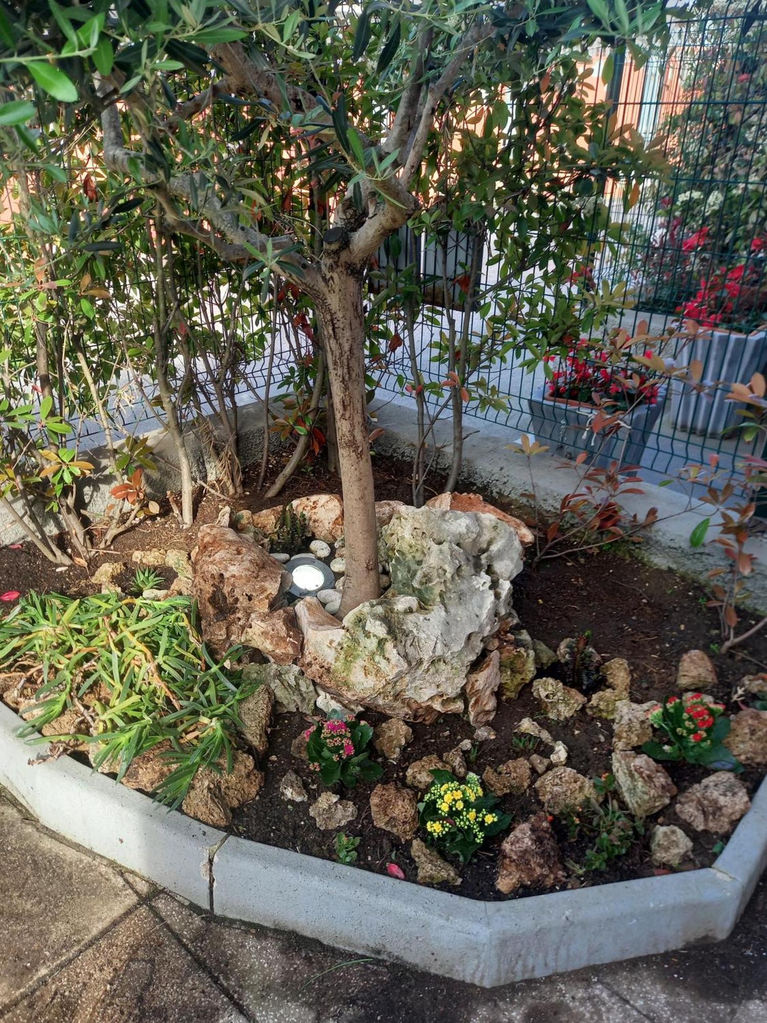La Casa Di Piccoli Di Gabriele Martelli E Catia Pacetti - Appartamento Ancona Exteriör bild